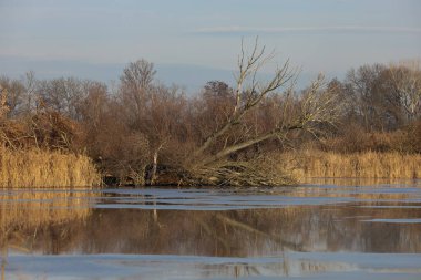 Akşamın erken saatlerinde gölet çevresindeki kış manzarası. Gökyüzünde dramatik bulutlar.