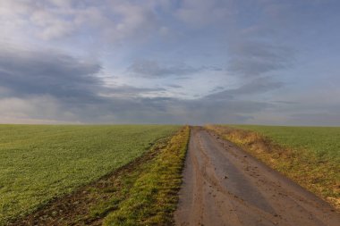 Beautiful autumn landscape in a foggy haze. Dramatic sky with beautiful clouds.