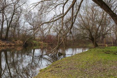 Winter landscape without snow around the river Jihlava. Trees without leaves. Standing water of the river.