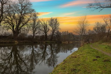 Winter landscape without snow around the river Jihlava. Trees without leaves. Standing water of the river.