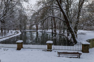 Winter landscape with snow. Beautiful park with trees - Straznice - Czech Republic