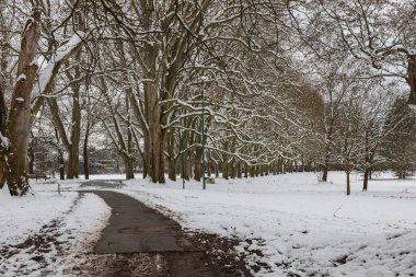 Karlı kış manzarası. Ağaçlı güzel bir park.