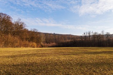 Winter sunny landscape. View of the forest area of the Kohoutovice housing estate in the city of Brno - Czech Republic Europe.