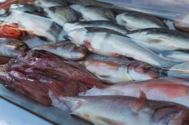 Fresh sea fish in the cold counter, intended for sale in the market. The fish are stored on ice.