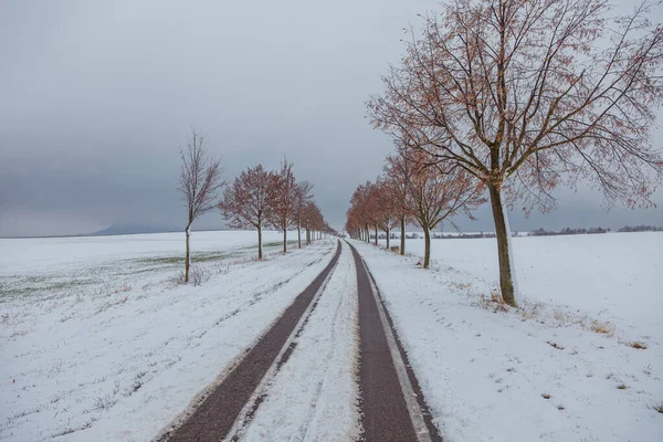 Peisaj Iarnă Copaci Peisajul Iarnă Zăpadă Teren Drumul Asfaltat Sub — Fotografie, imagine de stoc