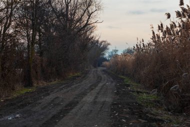 Göletin etrafındaki manzara. Çamurlu toprak yol ve sazlıklar. Gökyüzünde dramatik bulutlar var..