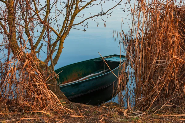 Tin Fishing Boat Anchored Edge Pond Winter Reeds — Stock Photo, Image