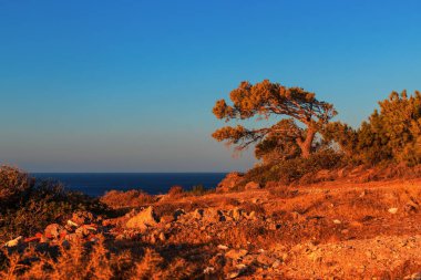 Beautiful landscape. Coast of the island of Crete - Greece area of Lerapetra Eden Rock. Beautiful sky at sunrise over the sea.