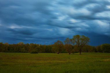 Ağaçları ve bulutlu gökyüzü olan kırsal bir arazinin güzel manzarası