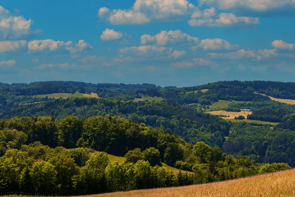 stock image Summer landscape bathed in the sun. Green trees and meadows. Blue sky.