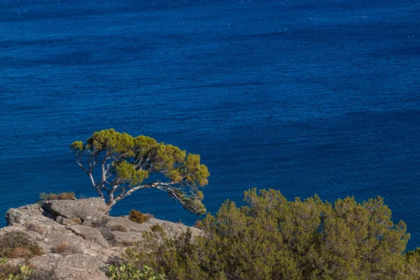 Güzel manzara. Girit adasının kıyıları - Yunanistan 'ın Lerapetra Eden Rock bölgesi. Güneşin doğuşunda denizin üzerinde güzel bir gökyüzü.