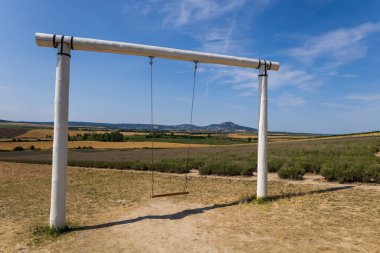 Lavandula adında güzel bir lavanta bitkisi olan yaz tarlası. Çiçekler mor ve pembe. Arkadaki Palava..