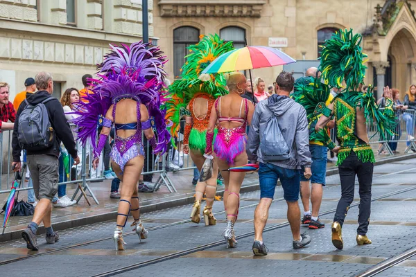 Brno Tschechische Republik August 2023 Brasil Fest Brno 2023 Parade — Stockfoto