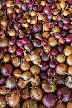 Bahçe sebzeleri Soğanlar bir sandığa serpilmiş. Güzel olgun meyveler. Yukarıdan Fotoğraf - Flatlay Fotoğraf