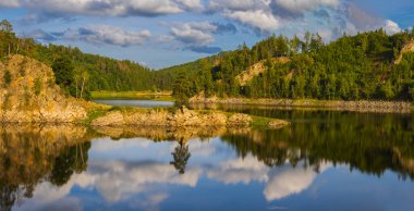 Güzel manzara. Vir Baraj Vadisi - Çek Cumhuriyeti Avrupa. Tek başına yaşayan Chudobinska çamı, yılın ağacı yaklaşıyor. 300 yaşında..
