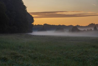 Gündoğumunda güzel bir sonbahar manzarası. Sis temizleniyor. Pagansko Çek Cumhuriyeti Avrupa