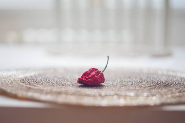 Sıcak kırmızı Habanero biberi - Capsicum chinense Jacquin masada kuruyor.