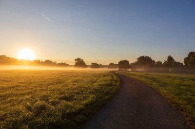 Gündoğumunda güzel bir sonbahar manzarası. Sis temizleniyor. Pohansko Çek Cumhuriyeti Avrupa