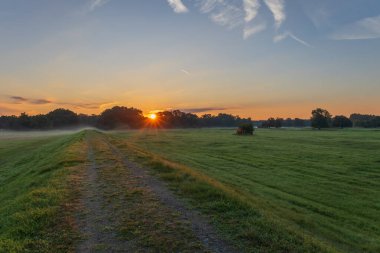 Gündoğumunda güzel bir sonbahar manzarası. Sis temizleniyor. Pohansko Çek Cumhuriyeti Avrupa