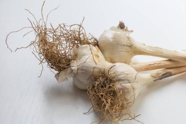 Beyaz arkaplanda saplı sarımsak kabuğu.