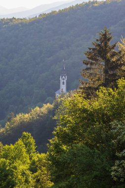 Slovenya 'nın Kropa bölgesindeki dağ ormanı manzarası.