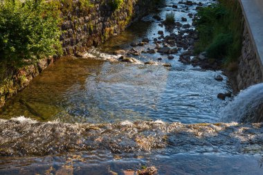 Slovenya 'nın Kropa bölgesindeki dağ ormanı manzarası.