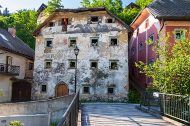 Slovenya 'nın Kropa bölgesindeki dağ ormanı manzarası.