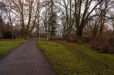 Parktaki patika ağaçlarla dolu..