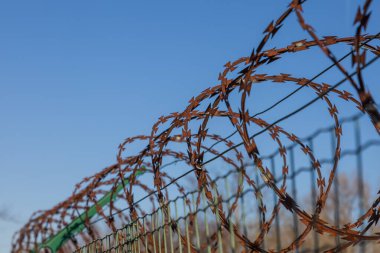 Tel örgüyü korumak için dikenli tel.