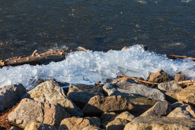 Buz donmuş bir gölün kıyısında yüzer