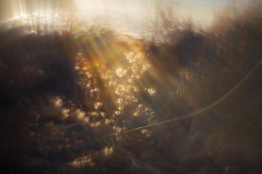 Doğanın soyut fotoğraf görüntüleri. Eski bir manuel lensli fotoğraf..