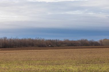 Palava bölgesine bakan güzel bir ova manzarası. Gökyüzündeki kara bulutlar. Tarlalar ve çayırlar.