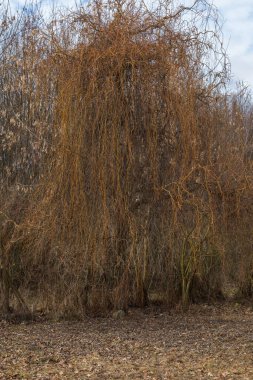 Palava bölgesine bakan güzel bir ova manzarası. Gökyüzündeki kara bulutlar. Tarlalar ve çayırlar.