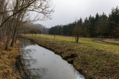 Bahar ormanı manzarası. Ormandaki ağaçlar yol boyunca uzanır..
