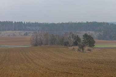 Yağmurlu bir günde bahar manzarası. Tarlalar, yollar, çayırlar
