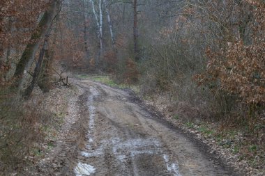 Yağmurlu bir günde bahar manzarası. Tarlalar, yollar, çayırlar