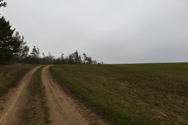 Yağmurlu bir günde bahar manzarası. Tarlalar, yollar, çayırlar