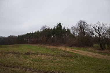 Yağmurlu bir günde bahar manzarası. Tarlalar, yollar, çayırlar