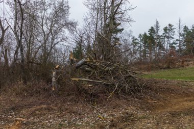 Yağmurlu bir günde bahar manzarası. Tarlalar, yollar, çayırlar