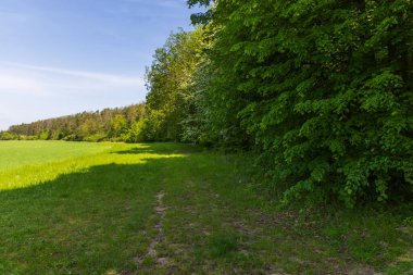 Bahar manzarası. Mavi gökyüzü ve beyaz bulutlu yeşil tarlalar ve çayırlar.