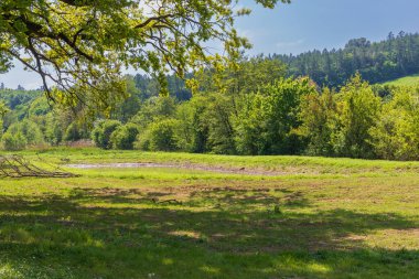 Bahar manzarası. Mavi gökyüzü ve beyaz bulutlu yeşil tarlalar ve çayırlar.