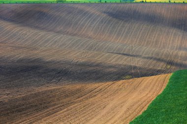 Avrupa 'daki Çek Cumhuriyeti' nde Moravya Toskana 'nın güzel, dalgalı bahar manzarası.