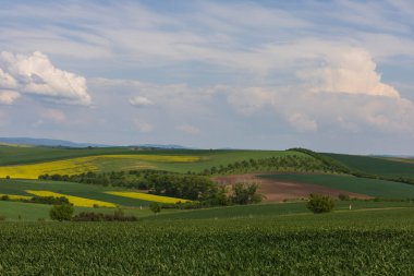 Avrupa 'daki Çek Cumhuriyeti' nde Moravya Toskana 'nın güzel, dalgalı bahar manzarası.