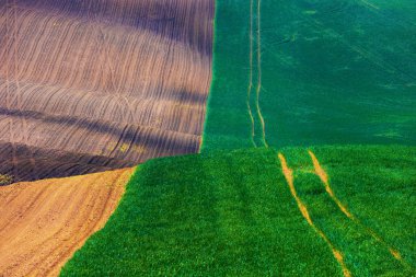 Avrupa 'daki Çek Cumhuriyeti' nde Moravya Toskana 'nın güzel, dalgalı bahar manzarası.
