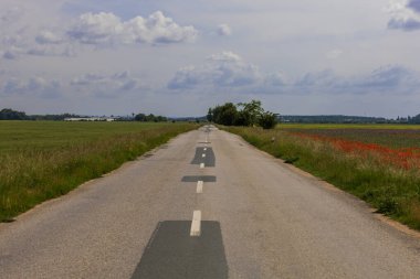 Ortasında beyaz bir çizgi olan asfalt yol. Yol köye gidiyor..