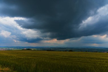 Şehir manzaralı bahar tarlaları. Gökyüzünde dramatik bulutlar var..