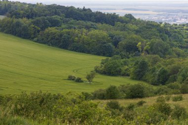 Fırtınadan önceki güzel bahar manzarası. Tahıl tarlaları ve kara bulutlar görülür..