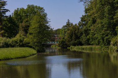Yeşil suyu olan gölet. Göletin etrafında uzun otlar ve ağaçlar var.