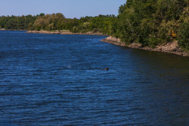 Lake landscape. Novomlnsk reservoir - lower with a view of Palava. Czech Republic - South Moravia clipart