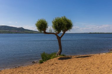 Göl manzarası. NovomInsk rezervuarı - Palava manzaralı daha alçak. Çek Cumhuriyeti - Güney Moravya